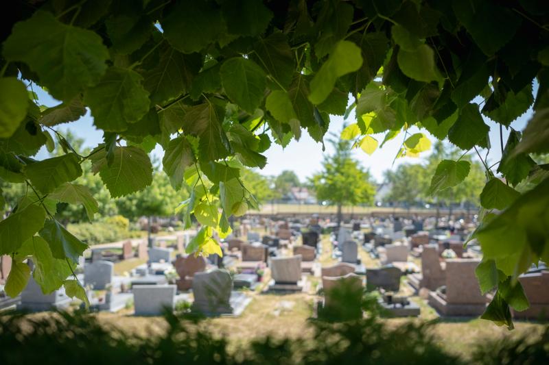 Printemps des cimetières