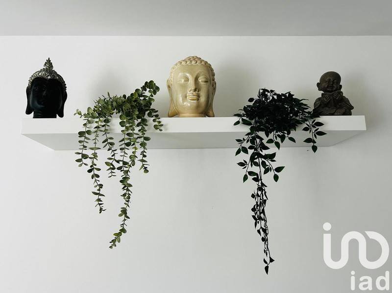 Appartement - 52 m² - 2 pièces