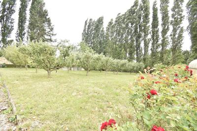 Maison de village - 175 m² - 7 pièces