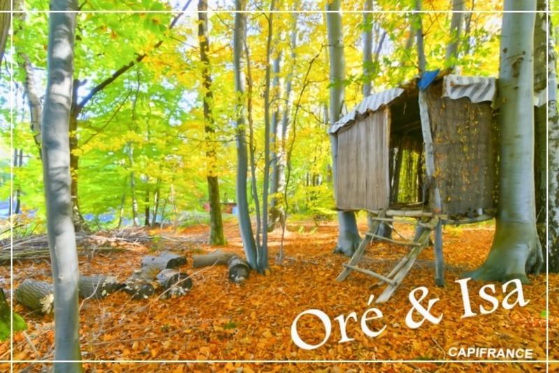 Terrain - 49 655 m²