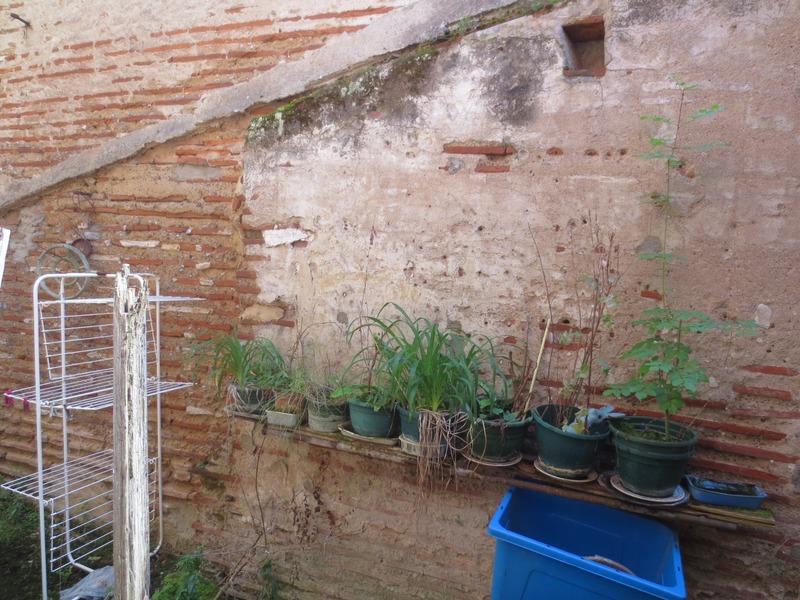 Maison - 132 m² - 5 pièces