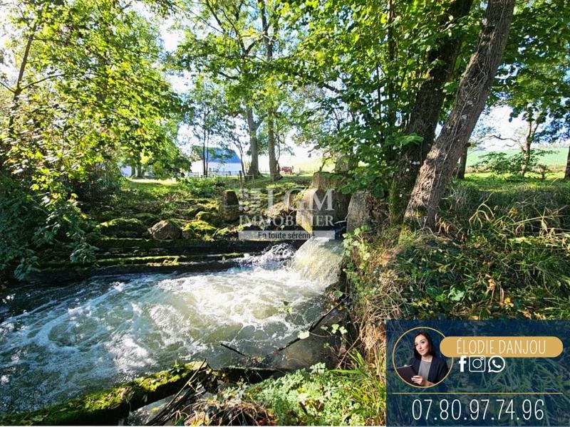 Moulin - 250 m² - 7 pièces