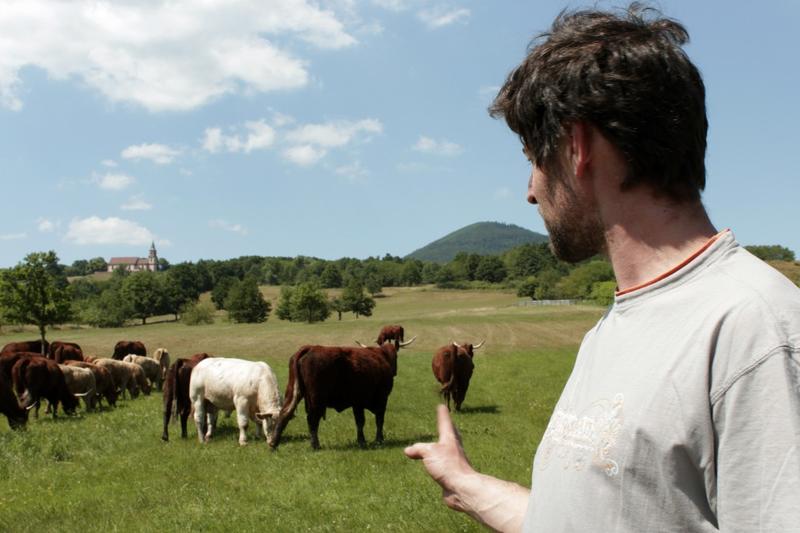 Le salon à la ferme - marché paysan