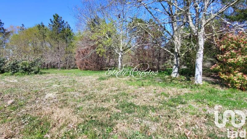 Maison - 210 m² - 7 pièces