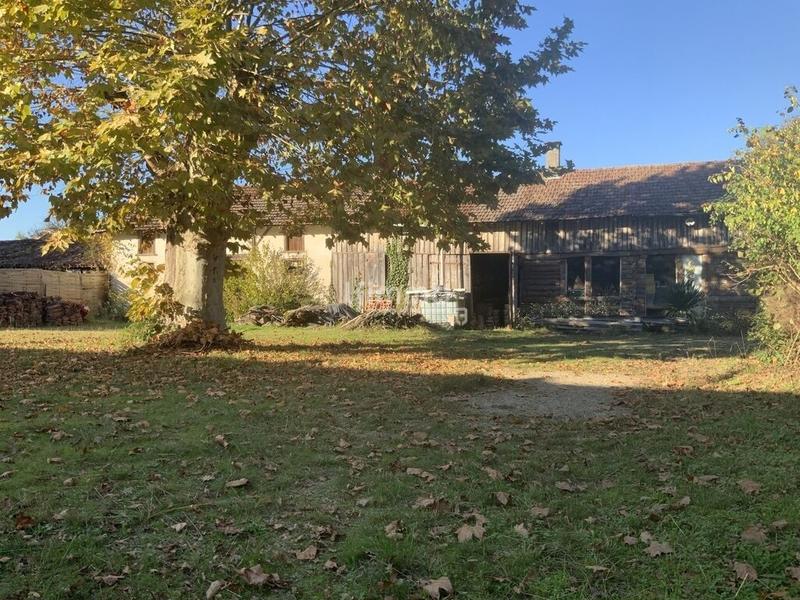 Bureau - 220 m² - 4 pièces