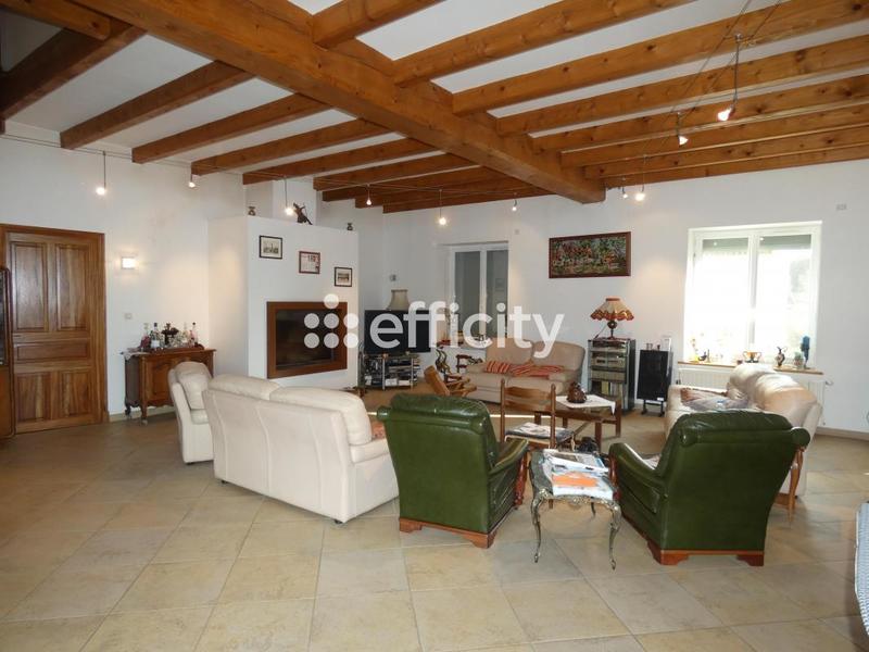 Maison - 360 m² - 9 pièces