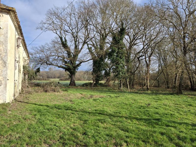 Maison ancienne - 100 m² - 4 pièces