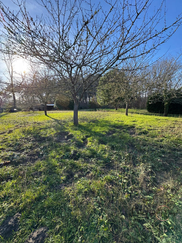 Maison ancienne - 149 m² - 5 pièces