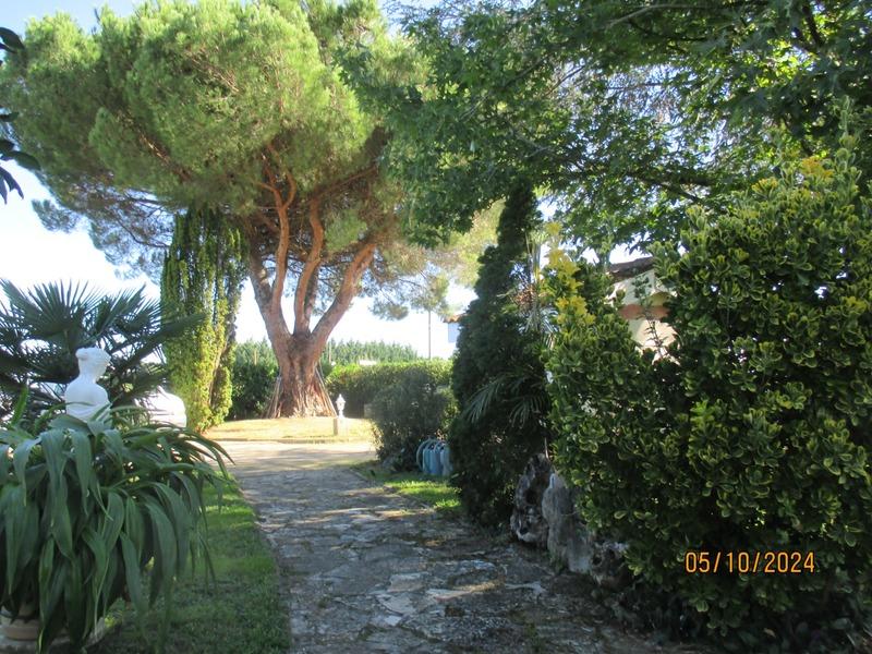 Maison - 186 m² - 8 pièces