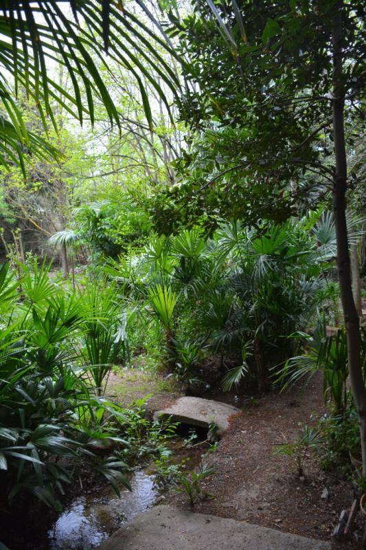 Propriété - 490 m² - 13 pièces