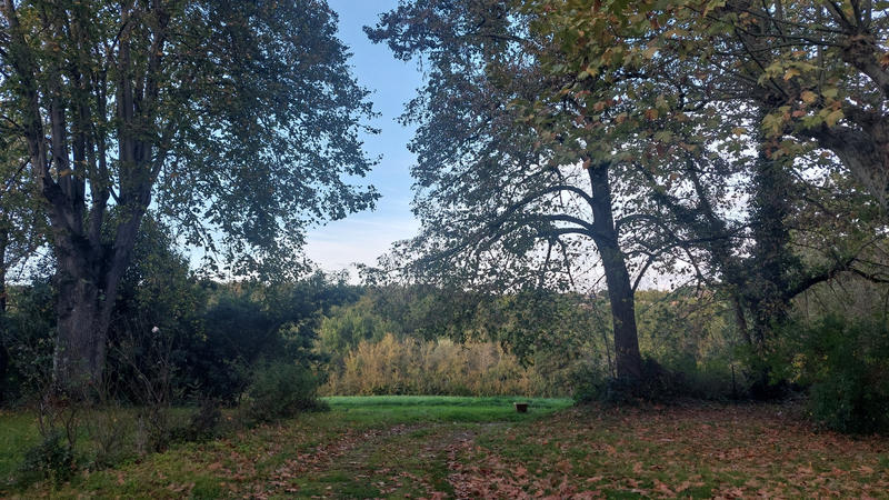 Château - 390 m² - 12 pièces