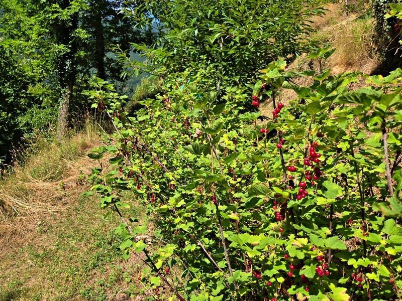 Maison - 80 m² - 3 pièces