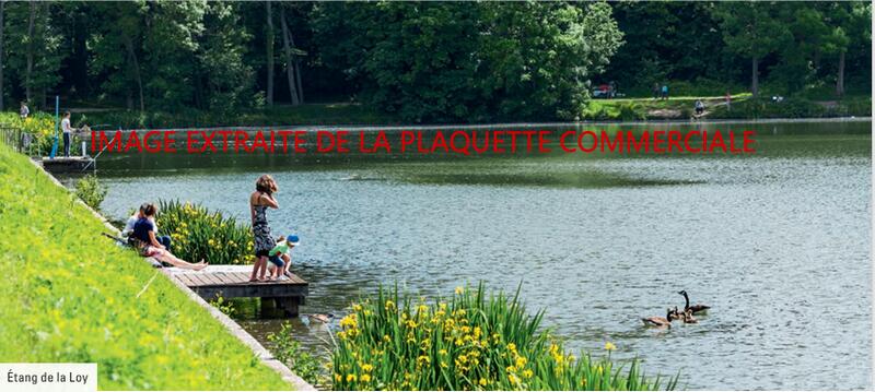 Appartement - 55 m² - 3 pièces