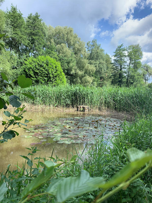 Escape Game : la forêt au fil de l'eau à l'ombre des chênes centenaires