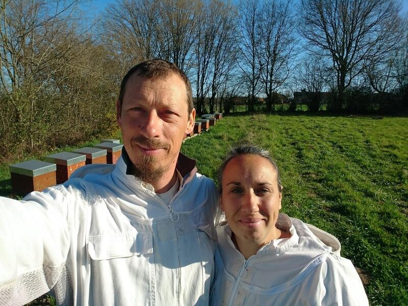 La ruche, les abeilles et l'apiculture - Château en fête