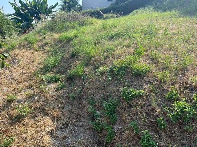 Villa - 200 m² - 5 pièces