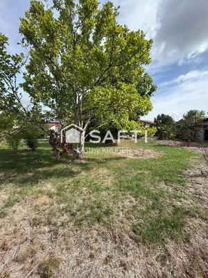 Maison - 257 m² - 8 pièces