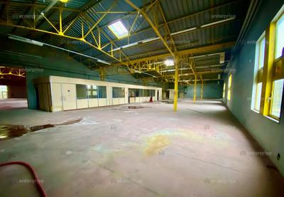 Entrepôt - 4 910 m²
