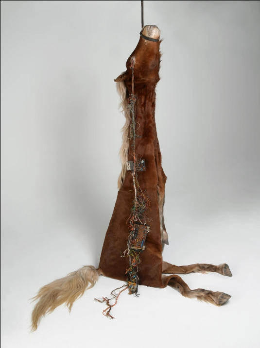 Gloria Friedmann - Splendeurs et extinction de la nature