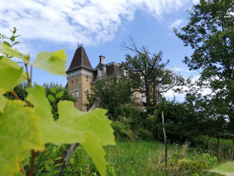 Visite guidée : balade entre histoire et nature