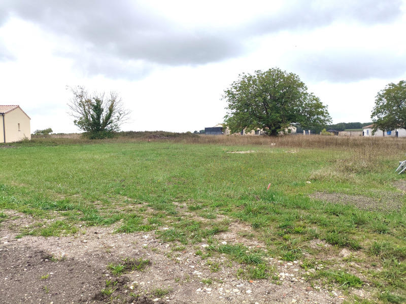 Terrain constructible - 1 111 m²