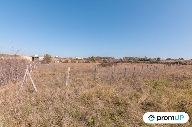 Terrain agricole - 5 000 m²