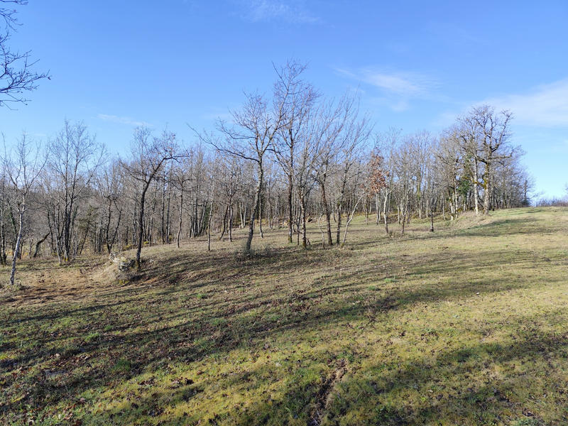 Terrain - 44 704 m²