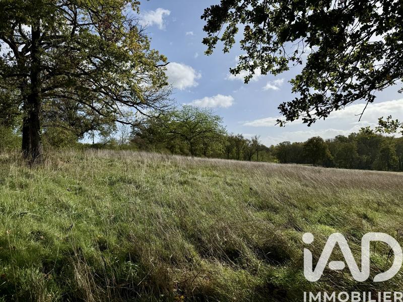 Terrain - 12 710 m²