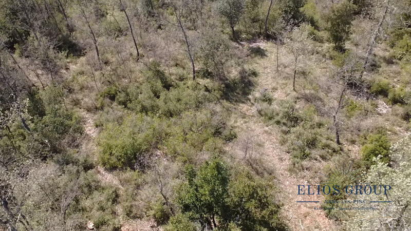 Terrain de loisirs - 2 516 m²