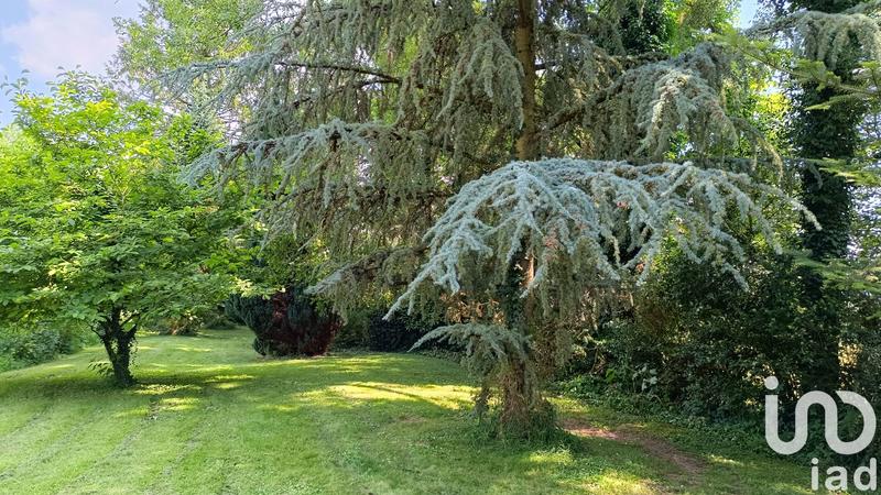 Terrain - 22 532 m²