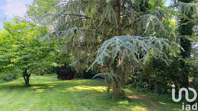 Terrain - 22 532 m²