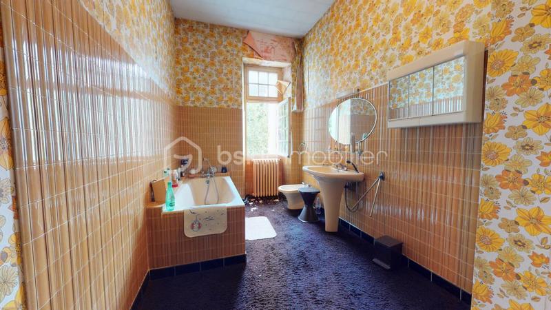 Château - 259 m² - 8 pièces