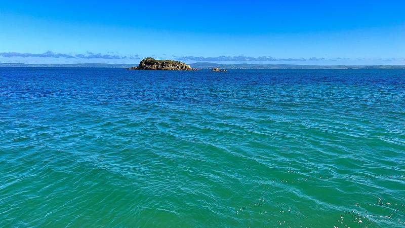 Appartement - 119 m² - 4 pièces