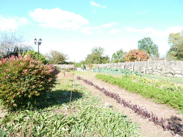 Maison - 205 m² - 8 pièces