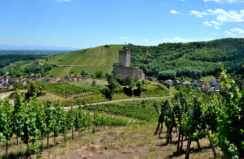 Balade ludique - au fil de la vallée des chats
