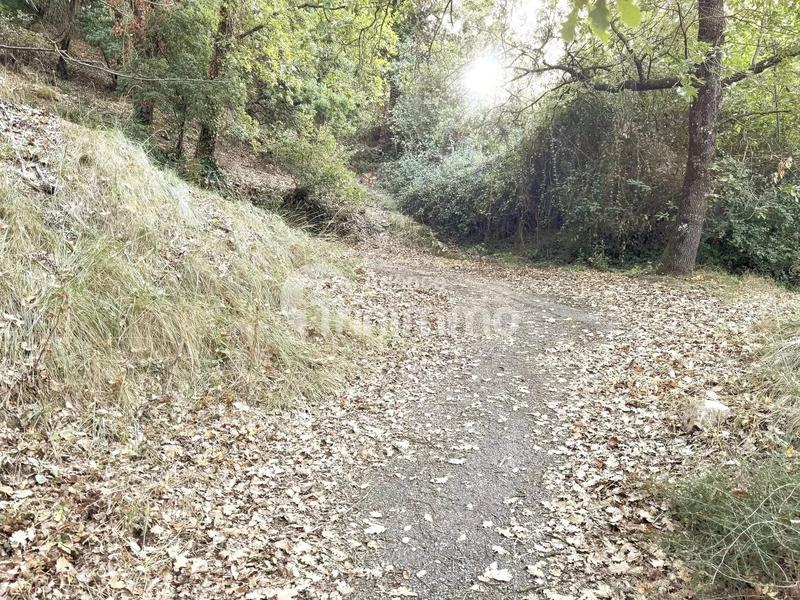 Terrain constructible - 2 454 m²