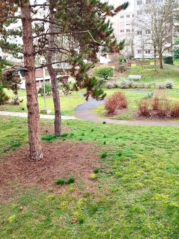 Appartement - 50 m² - 2 pièces