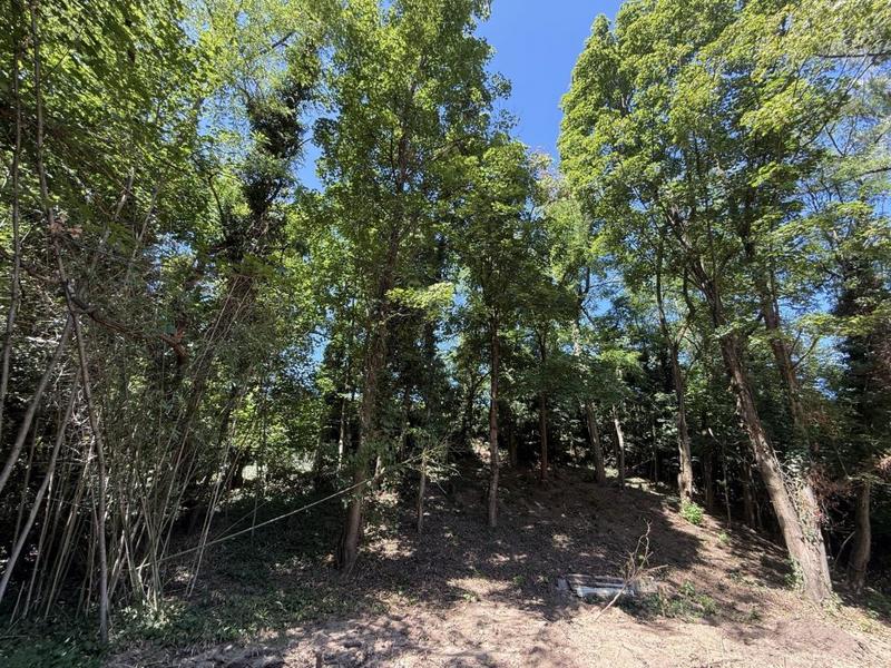 Terrain constructible - 1 660 m²