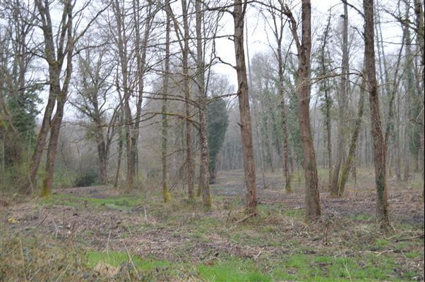 Terrain de loisirs - 22 000 m²