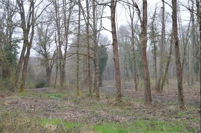 Terrain de loisirs - 22 000 m²