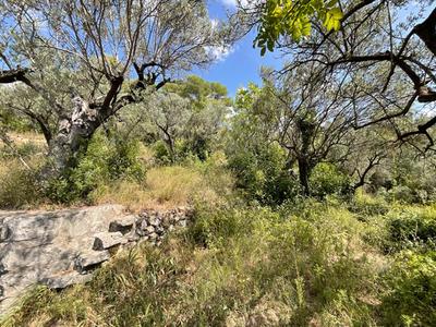 Terrain constructible - 3 015 m²