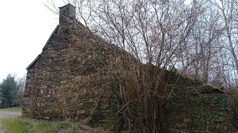 Maison ancienne - 100 m² - 1 pièce