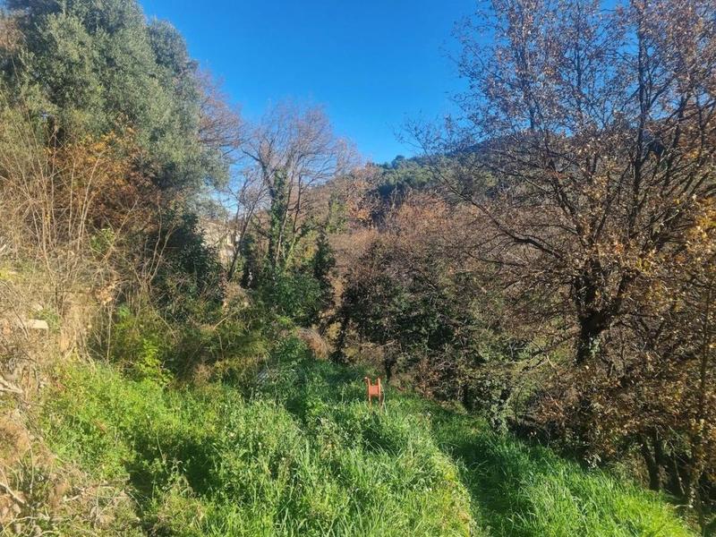 Terrain constructible - 2 920 m²