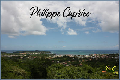 Terrain - 43 000 m²