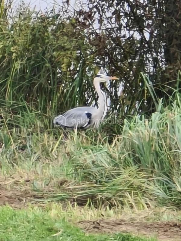 Maison de campagne - 105 m² - 4 pièces