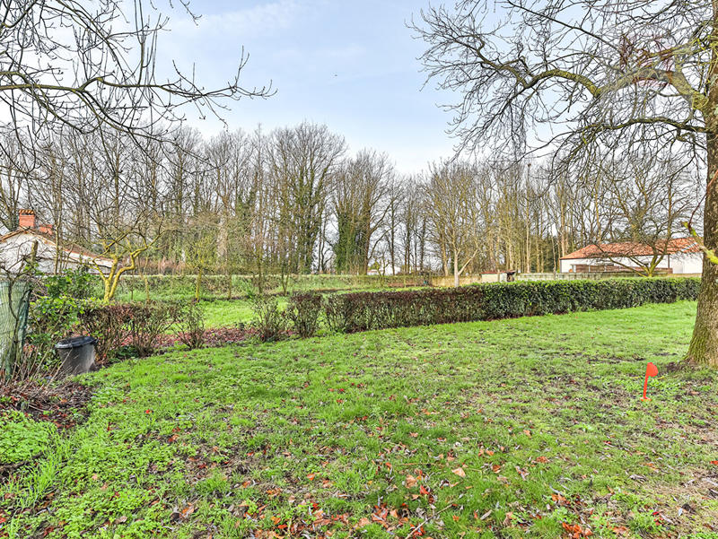 Terrain - 779 m²