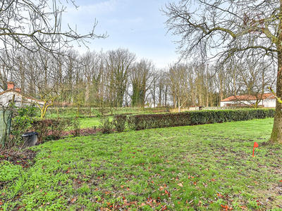 Terrain - 779 m²