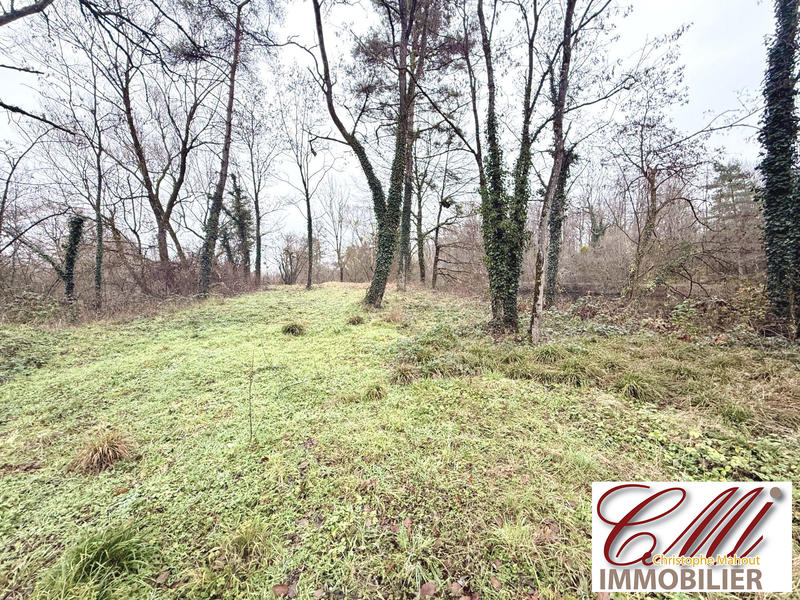 Terrain de loisirs - 11 820 m²