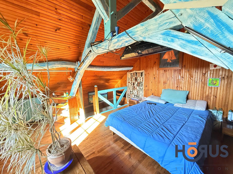 Viager - Maison ancienne - 180 m² - 5 pièces