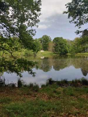 Terrain de loisirs - 27 500 m²